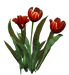 Цветы в PNG